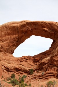 Window Arch